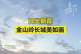 半岛综合体育官方app截图0